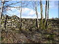 NY3401 : Dry stone roadside wall by Ian Cunliffe