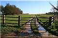 ST9502 : Gate on track to Badbury Rings by David Lally