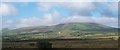 Bogland north of Caerau