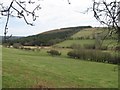 Caeo Forest across fields