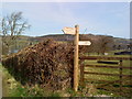 Signpost at Seat Farm