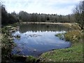 Orchardton Pond