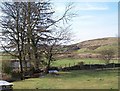 A tributary of Afon Dwyfach at Pant Glas