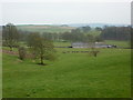 Pasture on the south side of Airton