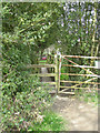 Footbridge on a little used footpath.