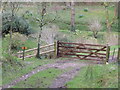 Mid Devon : Combe Farm Gate