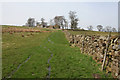 Footpath to High Knowle Farm