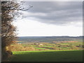 View towards Westwood and the Clyst Valley