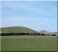 Moel Fychan, with the more photogenic Pen-y-gaer in the background