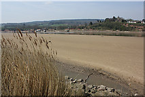 SO6911 : Tidal sands by the old ferry crossing, Arlingham by Pauline E