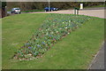 Flowerbed at junction of Coneyburrow Lane and A259