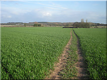 SP1564 : Footpath across a sown field by Row17