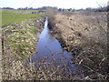 R3675 : Drainage Ditch, Co Clare by C O'Flanagan