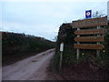 ST0016 : Mid Devon : Farm Sign & Country Road by Lewis Clarke