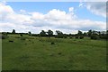 Fields east of South Witham