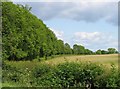 Railway embankment to the east