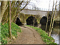 The Aqueduct at Burrs