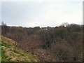 Werneth Brook Valley