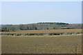 2010 : Ploughed fields near Manor Farm