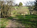 Footpath approach to Willow Cottage