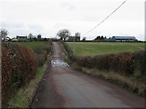 NS7548 : Crofthead Farm and Kittymuir Farm by G Laird
