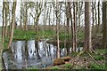 Brick-Kiln Covert, Kedleston.