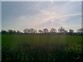 Farmland near Overstone