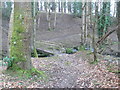 Footbridge over the Afon Cyffdy near Melin-y-Coed