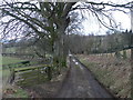 SJ0847 : Farm lane leading to Cefnmaenllwyd by Eirian Evans