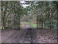 Gates on footpath between Thursley Road and Elstead Manor