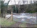 Small quarry near Maerdy Bach