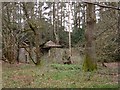 Derelict building in the woods