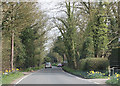 Road through Fretherne Wood