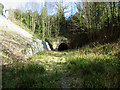 Disused railway tunnel at Tunbridge Wells West