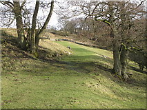 NY8452 : Footpath to Holms Linn (3) by Mike Quinn