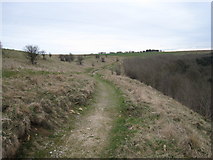 SE5184 : Cleveland Way near South Woods by Philip Barker