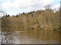 American Clump from Five Arch Bridge