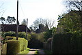 Looking along a footpath in Sissinghurst