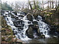 The Cascade, Virginia Water