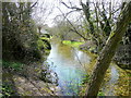 River Bourne at Idmiston