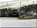 Overflowing Water Trough in Lighthazles Road