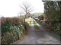 Farm road leading to Murcyplau