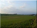 Fields in the countryside near Glasgow