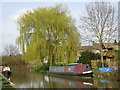 Willow by the Oxford Canal