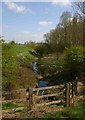 Tach Brook by the side of the A452 Europa Way