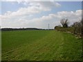 Field alongside Gallows Hill, Warwick