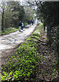 Walkers heading towards Lambs Cross