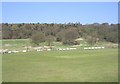 Harden Cricket Club - Harden Road