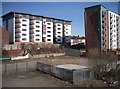 Apartments, Shaw Street