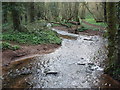 ST4994 : Mounton Brook from the rustic bridge, Coppice-mawr by Ruth Sharville